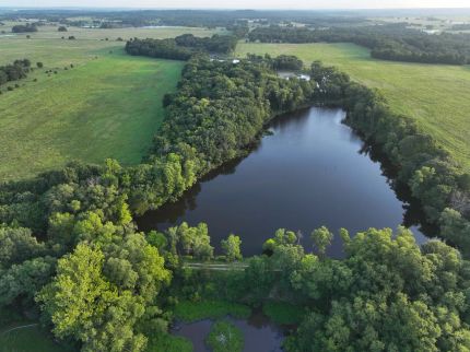 Timberland Property for sale in Hughes County, Oklahoma