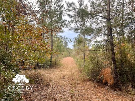 Undeveloped Land in McIntosh County, Georgia
