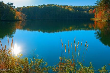 Land for sale in Hardeman County, Tennessee