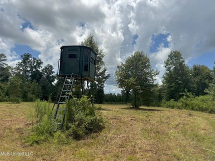 Farm and Ranch for sale in Lincoln County, Mississippi