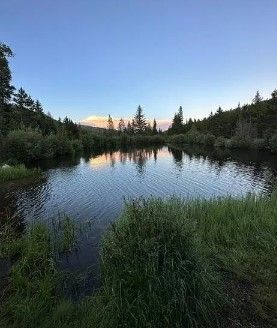 Timberland Property for sale in Larimer County, Colorado