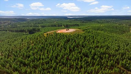 Timberland Property for sale in Hardin County, Tennessee