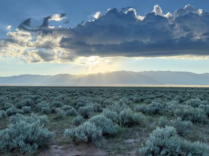 Timberland Property for sale in Valencia County, New Mexico
