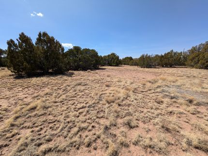 Undeveloped Land for sale in Apache County, Arizona