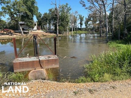 Undeveloped Land in Concordia Parish, Louisiana