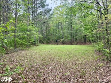 Undeveloped Land in Walker County, Alabama