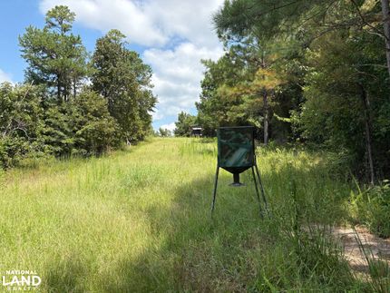 Recreational Property in Lamar County, Alabama