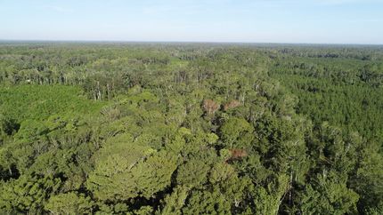 Farm and Ranch for sale in Madison County, Florida