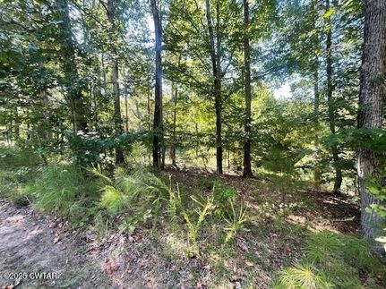 Homesite for sale in Henderson County, Tennessee