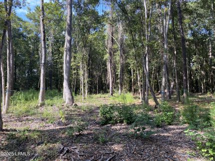 Commercial Property for sale in Beaufort County, South Carolina