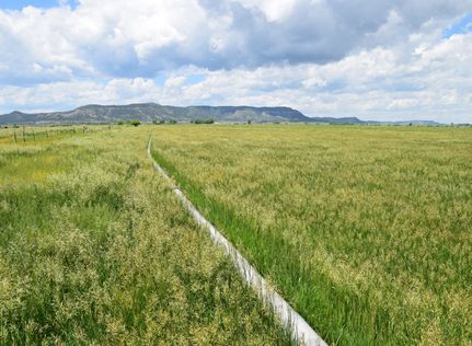 Farm and Ranch for sale in Las Animas County, Colorado