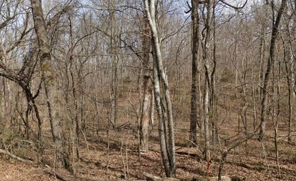 Timberland Property for sale in Madison County, Arkansas