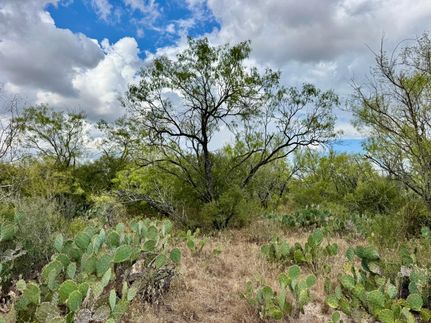 Timberland Property for sale in Atascosa County, Texas