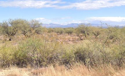 Timberland Property for sale in Cochise County, Arizona