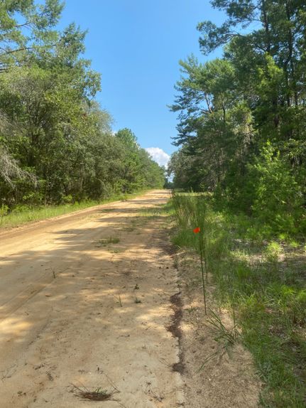 Timberland Property for sale in Putnam County, Florida