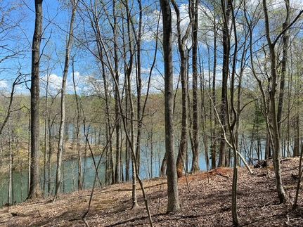 Recreational Property for sale in Madison County, Virginia
