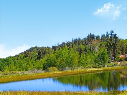 Timberland Property for sale in Park County, Colorado