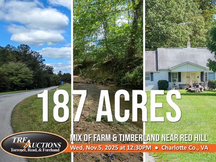 Timberland Property in Charlotte County, Virginia