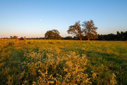 Undeveloped Land for sale in Smith County, Texas
