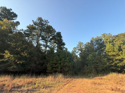 Recreational Property for sale in Elbert County, Georgia