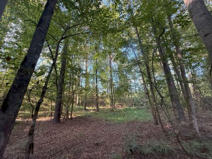 Land for sale in Elbert County, Georgia