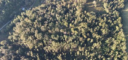 Undeveloped Land for sale in Moore County, Tennessee