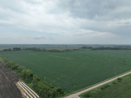 Land for sale in Turner County, South Dakota