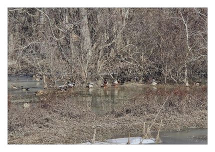 Land for sale in Saint Francis County, Arkansas