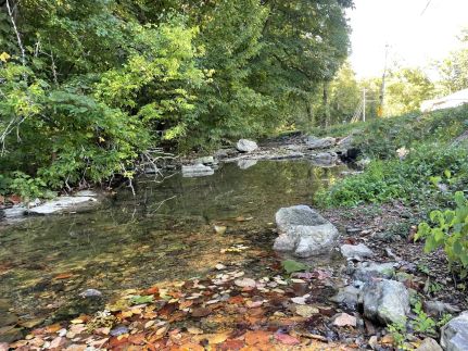 Undeveloped Land for sale in Sumner County, Tennessee