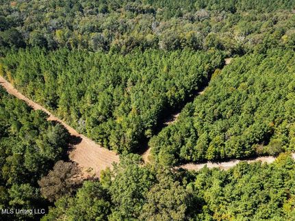 Recreational Property for sale in Amite County, Mississippi