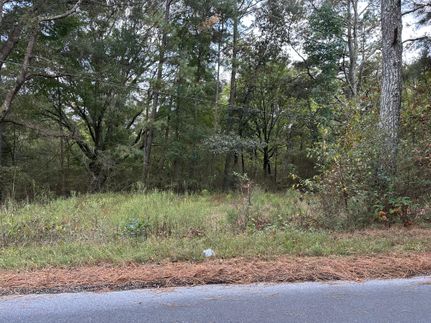 Recreational Property for sale in Polk County, Georgia