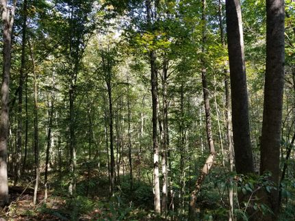 Land for sale in Adams County, Ohio