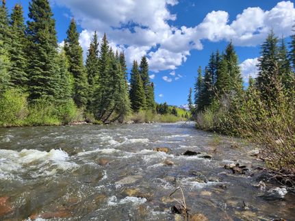 Recreational Property for sale in Dolores County, Colorado