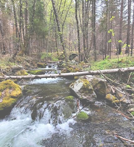 Timberland Property for sale in Trinity County, California