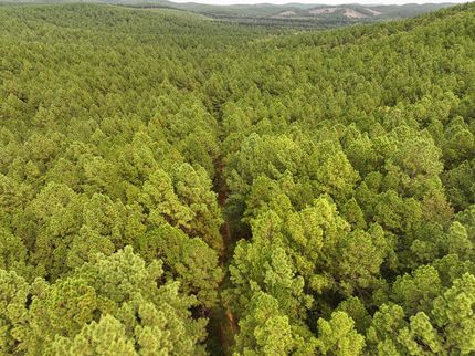 Land for sale in Saline County, Arkansas