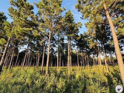 Land for sale in Cass County, Texas