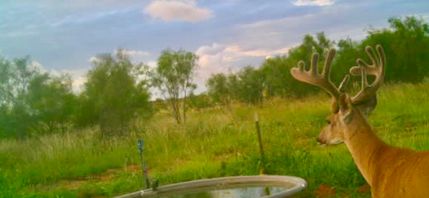 Farm and Ranch for sale in Dickens County, Texas