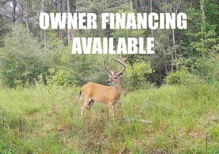 Farm and Ranch for sale in Newton County, Texas