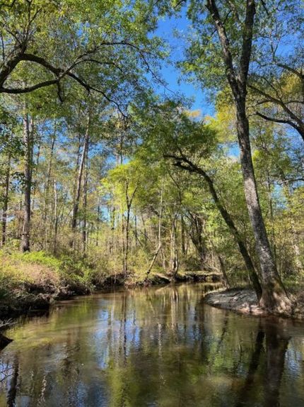 Farm and Ranch for sale in Colquitt County, Georgia