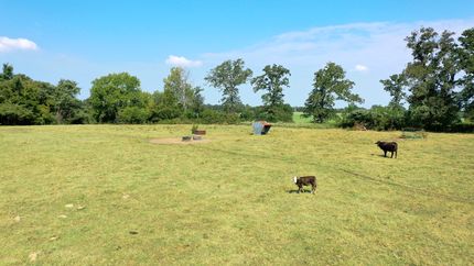 Land for sale in Freestone County, Texas