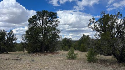 Farm and Ranch for sale in Catron County, New Mexico