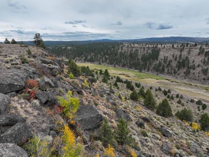 Farm and Ranch for sale in Harney County, Oregon