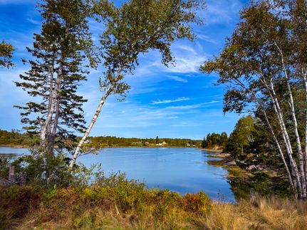 Hunting Property for sale in Washington County, Maine
