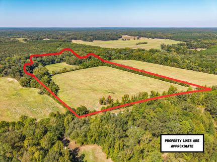 Horse Property for sale in Yalobusha County, Mississippi