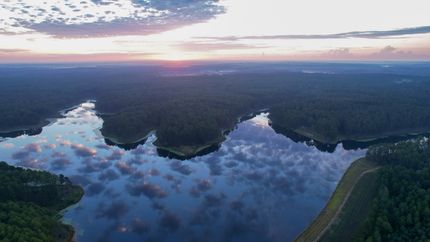 Timberland Property for sale in Lamar County, Mississippi