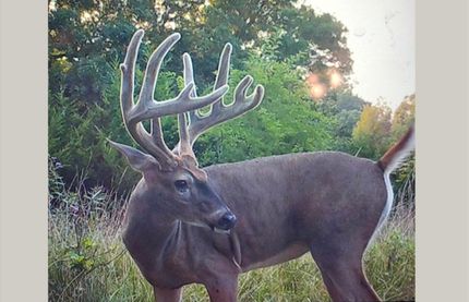 Farm and Ranch for sale in Davis County, Iowa