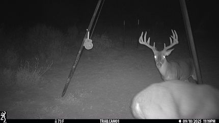 Farm and Ranch in Duval County, Texas