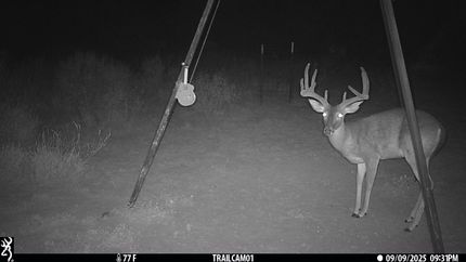 Land for sale in Duval County, Texas