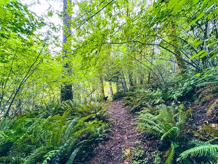 Recreational Property for sale in Lane County, Oregon
