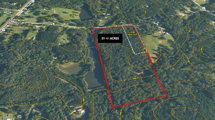 Undeveloped Land for sale in Coweta County, Georgia